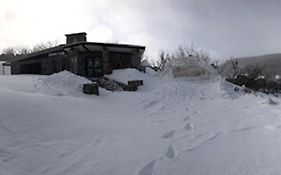 The Lions Lair Lodge